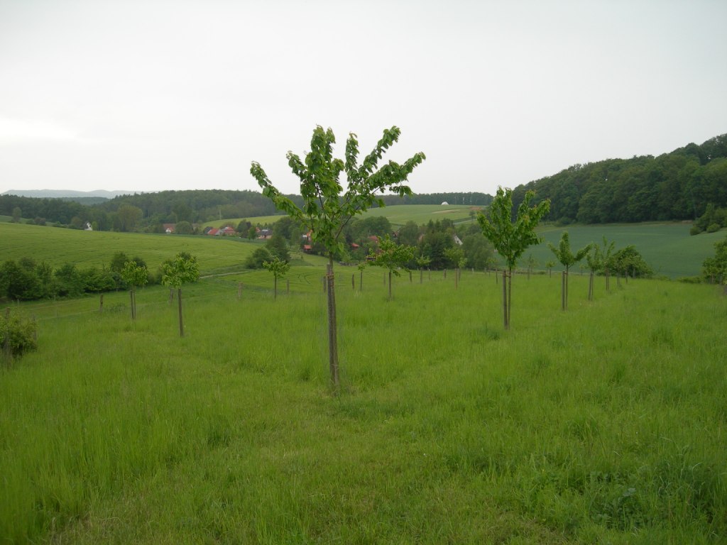 Blick auf VLKERHAUSEN